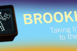 Brooklyn 2017 Lit Crawl event graphic