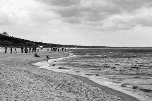 black and white photo of a beach