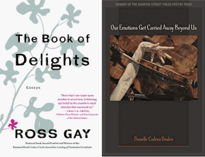 The book of delights and Our Emotions Get Carried Away Beyond Us book covers