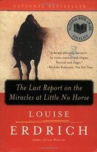 Louise Erdrich - The Last Report book cover