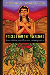 Voices from the Ancestors book cover