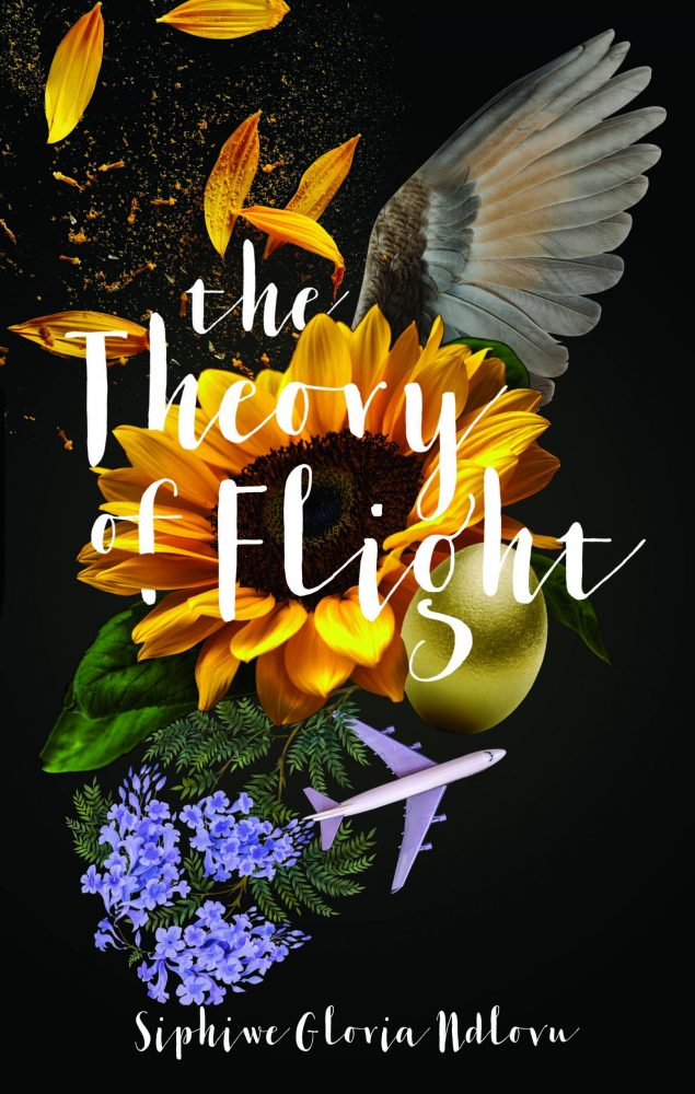 The Theory of Flight book cover