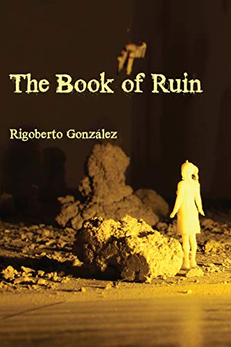 The Book of Ruin book cover