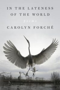 Carolyn Forché - In the Lateness of the World