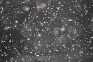 falling snow