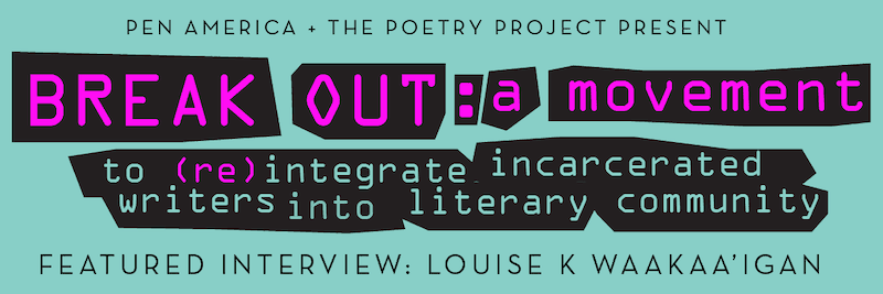 BREAK OUT: a movement banner for Louise K Waakaaigan's interview