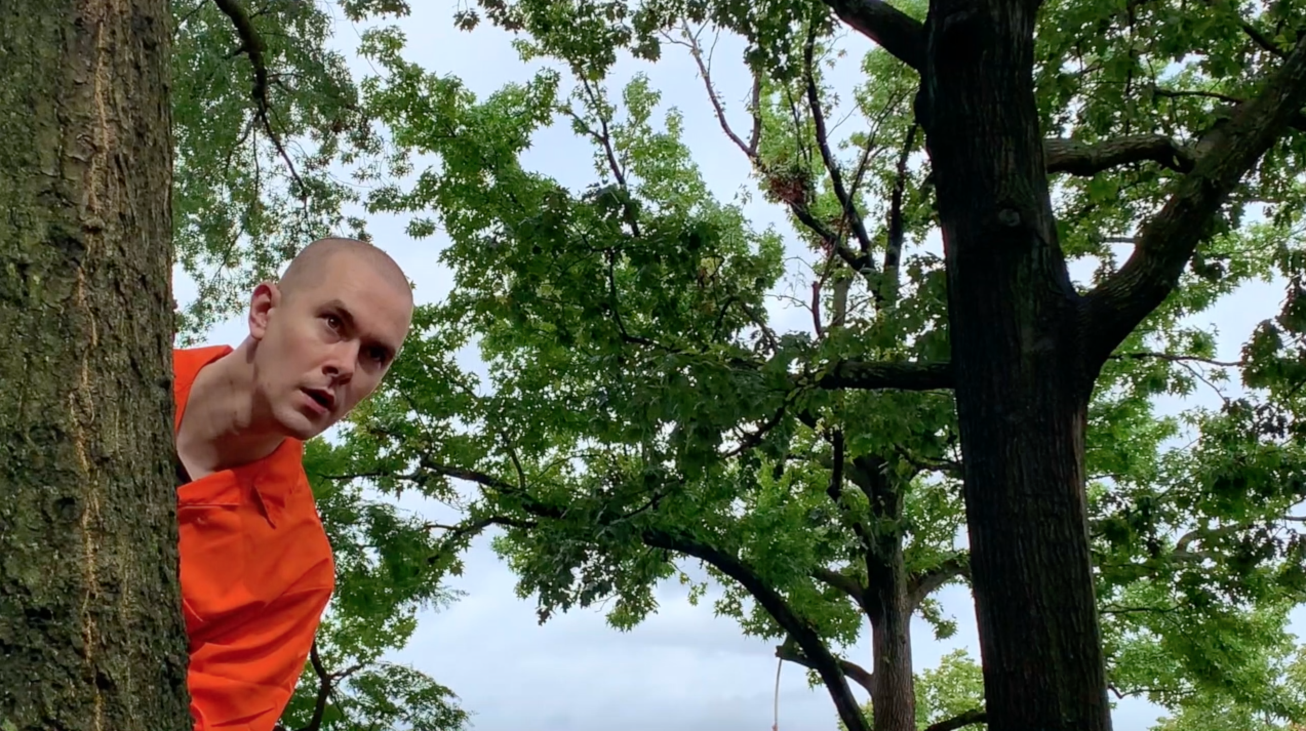 Man in orange jumpsuit peeking out from behind a tree