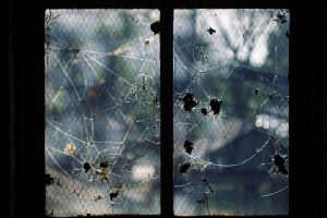 cracked window