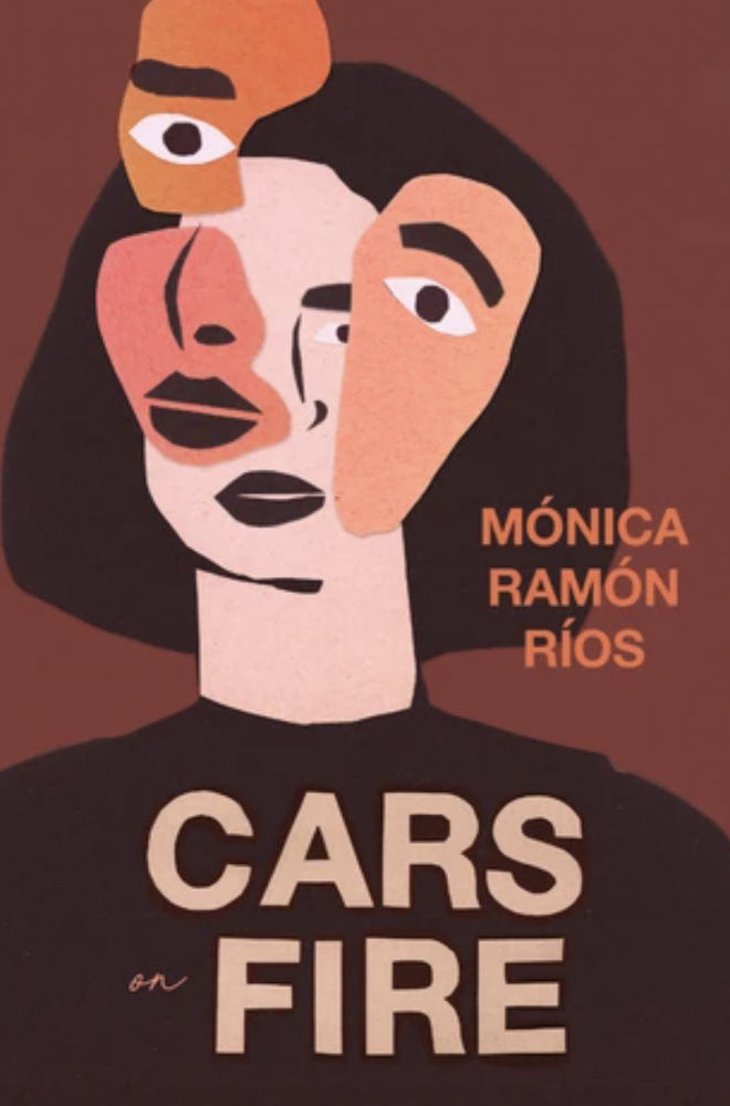 Cars on Fire book cover