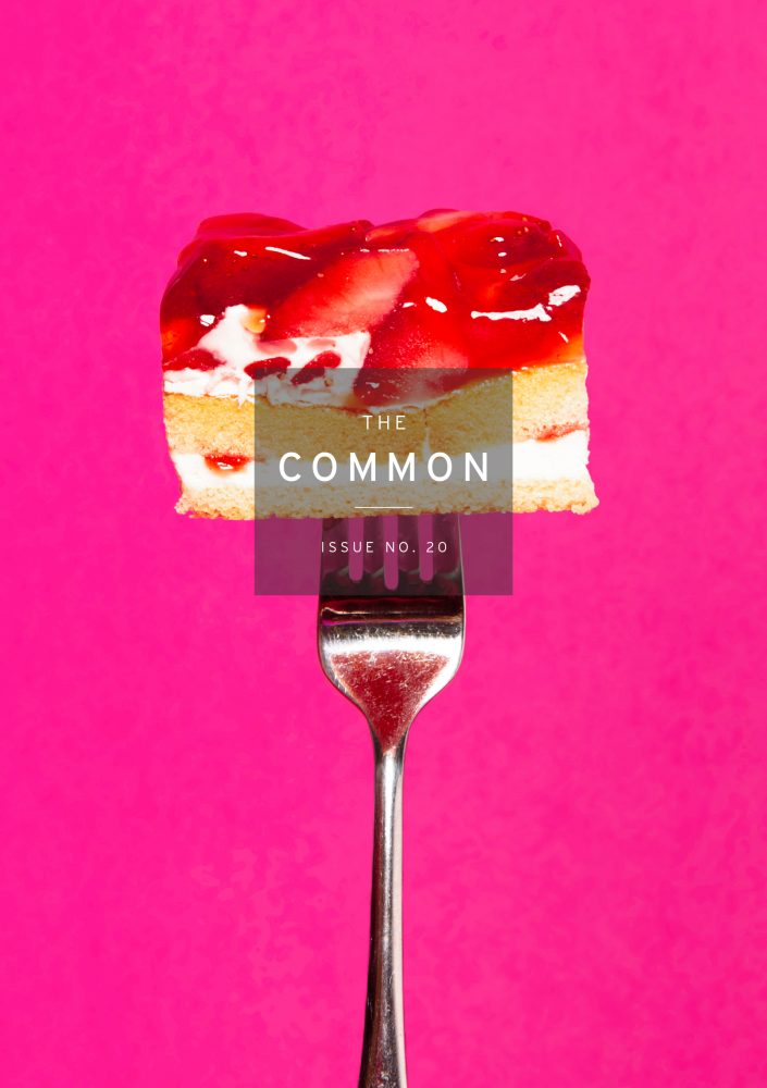 Issue 20 cover of The Common