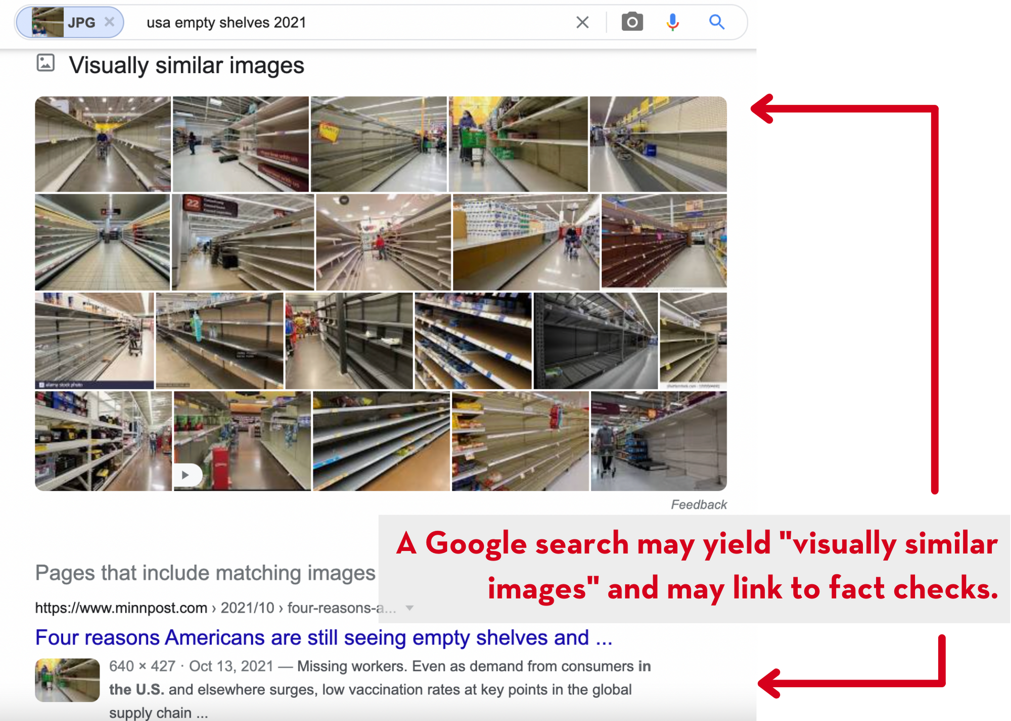 Page showing reverse image search results of "usa empty shelves 2021"