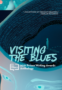 Visiting the Blues book cover
