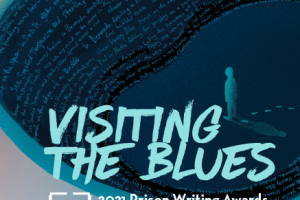 Visiting the Blues book cover