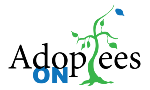Adoptees On logo
