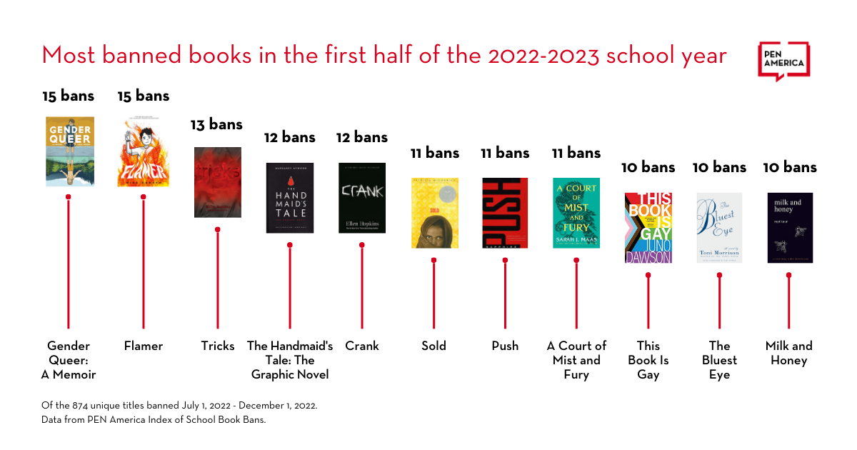 Top 10 Banned Books Of 2024 Addia Anselma