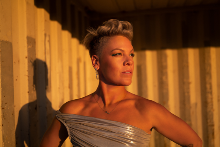 Global Pop Icon P!nk Teams Up with PEN America to Give Away 2,000