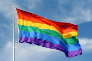 ‘Don’t Display Gay’ and McCarthyism 2.0: Emerging Themes in K-12 Censorship