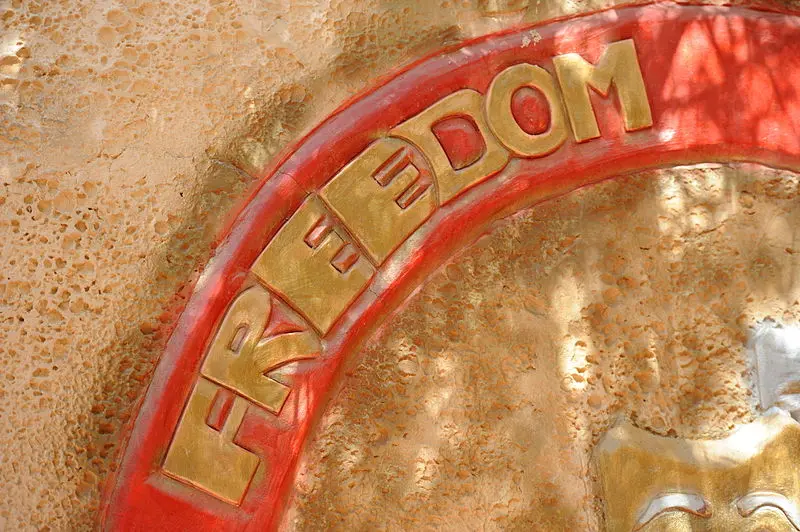 Gold letters spelling FREEDOM are set on a textured tan wall within a red curved border, partially visible and casting shadows.