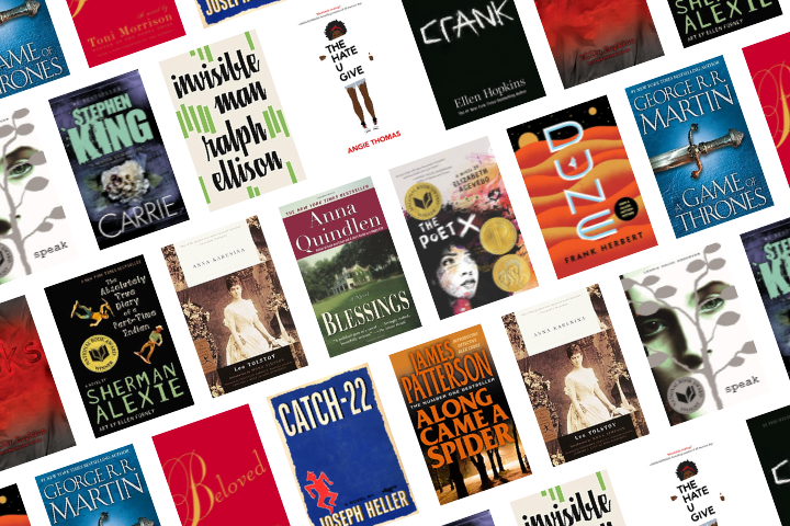 A collage of various book covers, including titles by authors like Stephen King, George R.R. Martin, Angie Thomas, Sherman Alexie, Frank Herbert, Ellen Hopkins, and others, arranged diagonally against a white background.
