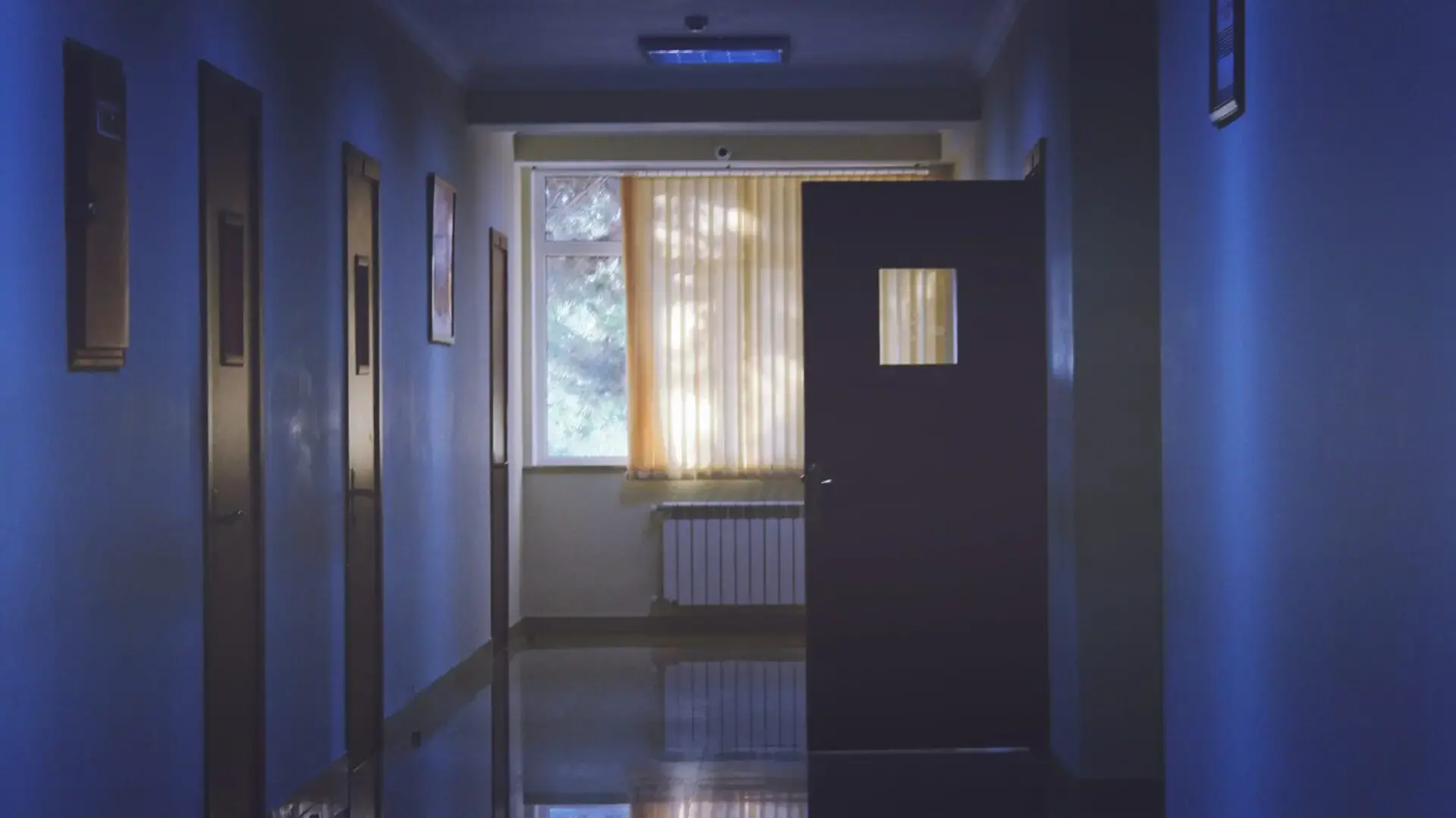 A dimly lit hallway with blue walls and a partially open door, letting in sunlight from a window with vertical blinds at the end of the corridor. The floor reflects the light.