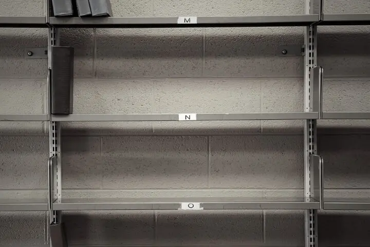 Grayscale empty bookshelves