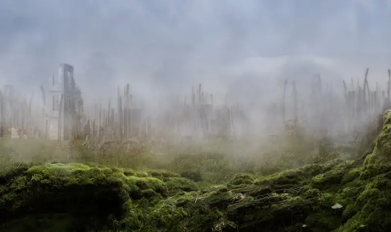A misty, desolate landscape with ruins of a building on the left, leafless tree stumps scattered throughout, and green moss covering the ground in the foreground.