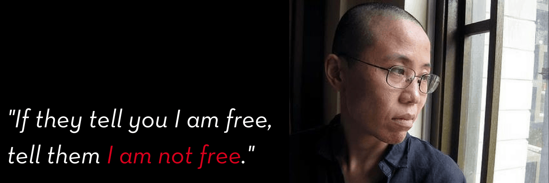 A person with short hair and glasses looks out a window thoughtfully. Beside them, the text reads: If they tell you I am free, tell them I am not free. The words I am not free are highlighted in red.