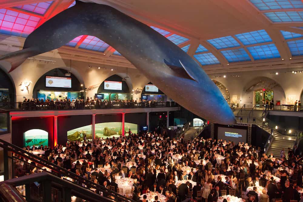 A large crowd attends a formal event under a suspended life-sized blue whale model in a grand hall with arched windows and a blue-lit ceiling. Tables are set for dinner, creating an elegant atmosphere.