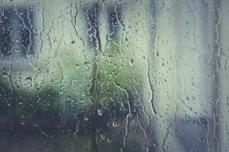 Raindrops running down a windowpane with a blurred view of greenery and buildings outside, creating a calm and moody atmosphere.