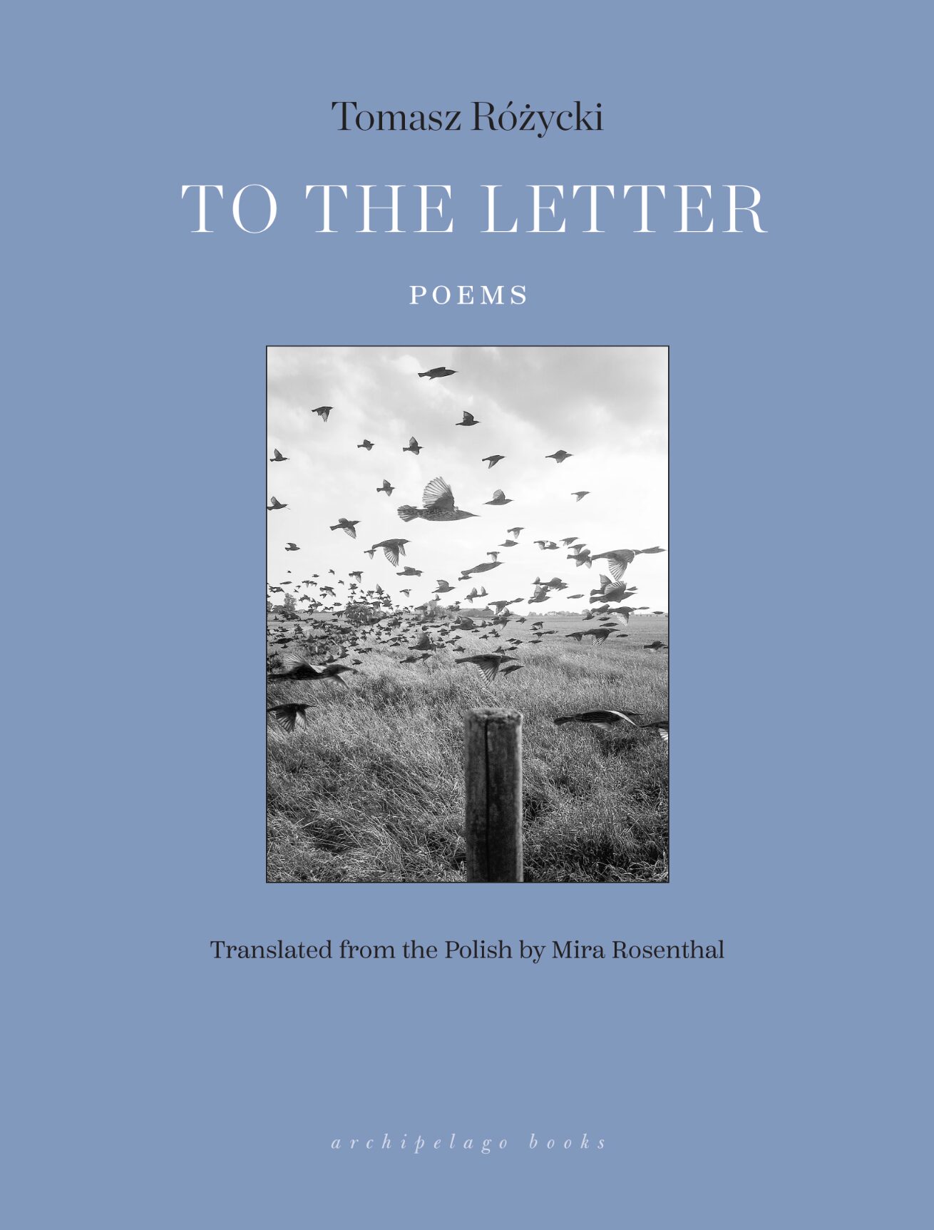Book cover for To The Letter: Poems by Tomasz Różycki, translated by Mira Rosenthal. The cover features a black-and-white photo of birds flying over a grassy field, set against a muted blue background.