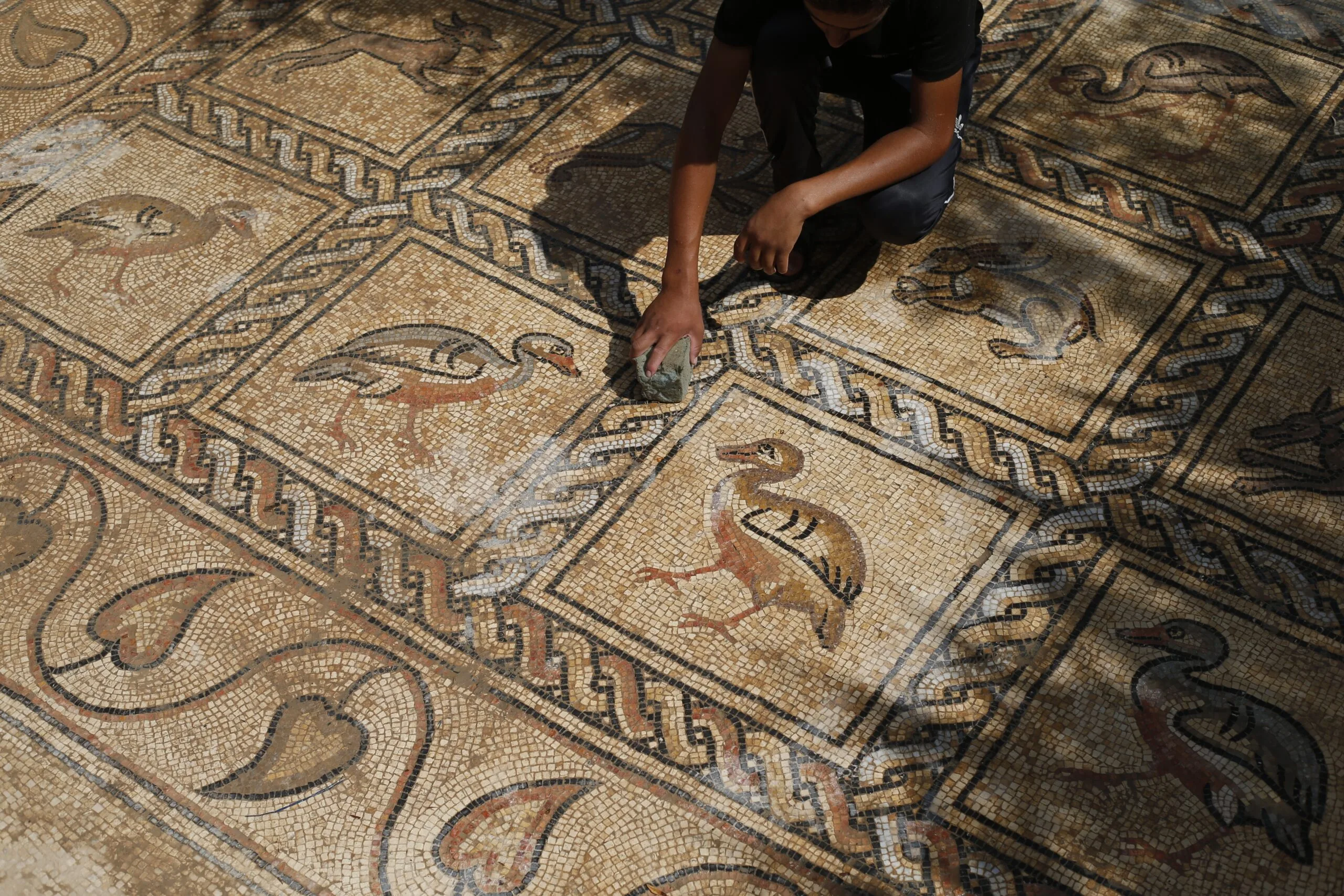 A person cleans an ancient mosaic floor decorated with bird and animal motifs, featuring geometric borders and earthy tones in the sunlight.