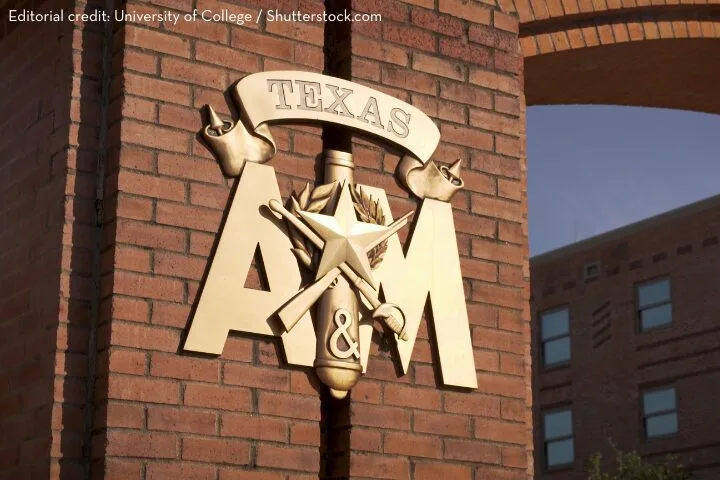A gold Texas A&M University emblem mounted on a brick wall, featuring the words TEXAS A&M with a sword, axe, and leaves behind the letters. A building with windows is visible in the background.